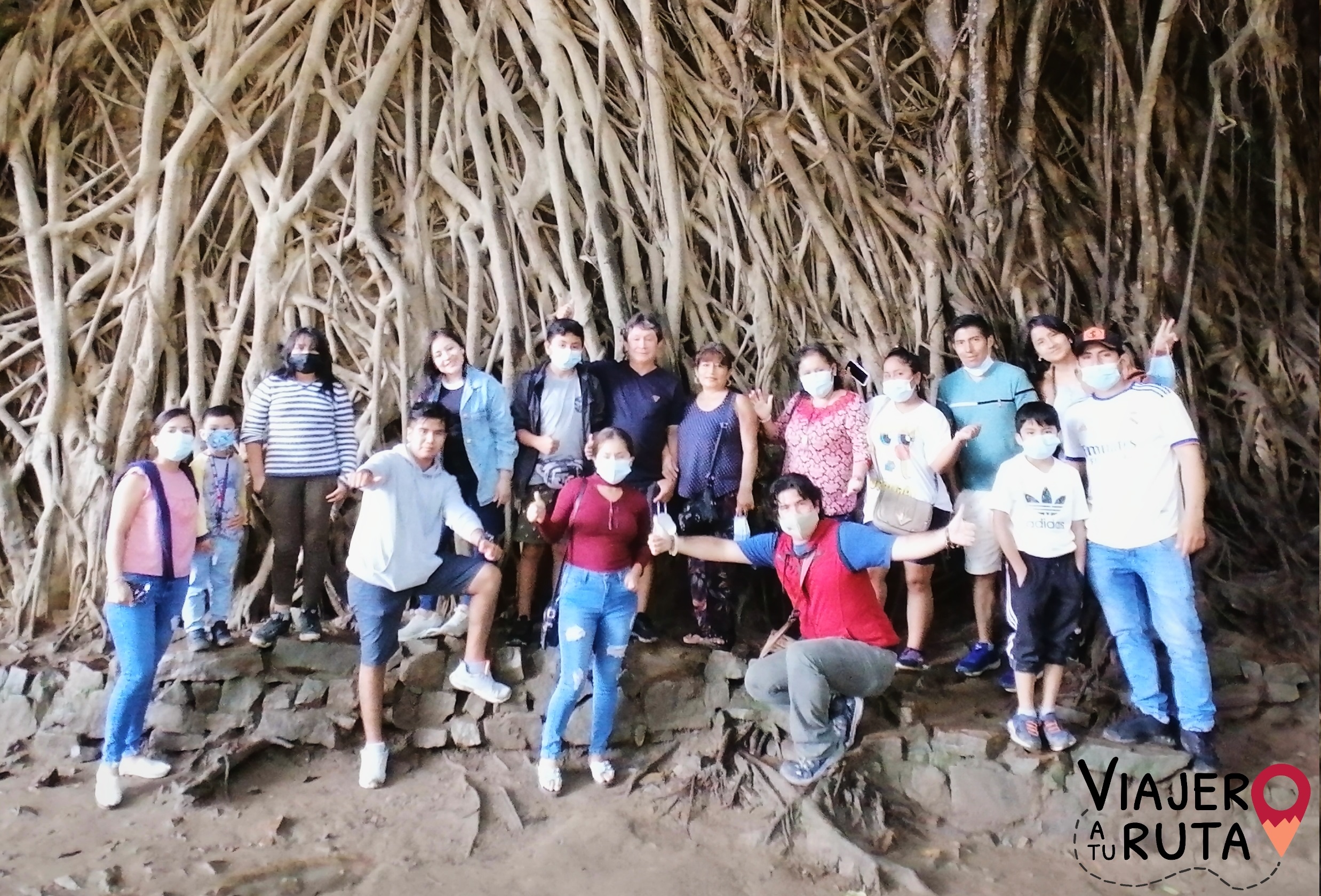 Trujillo 21 – cascas arbol